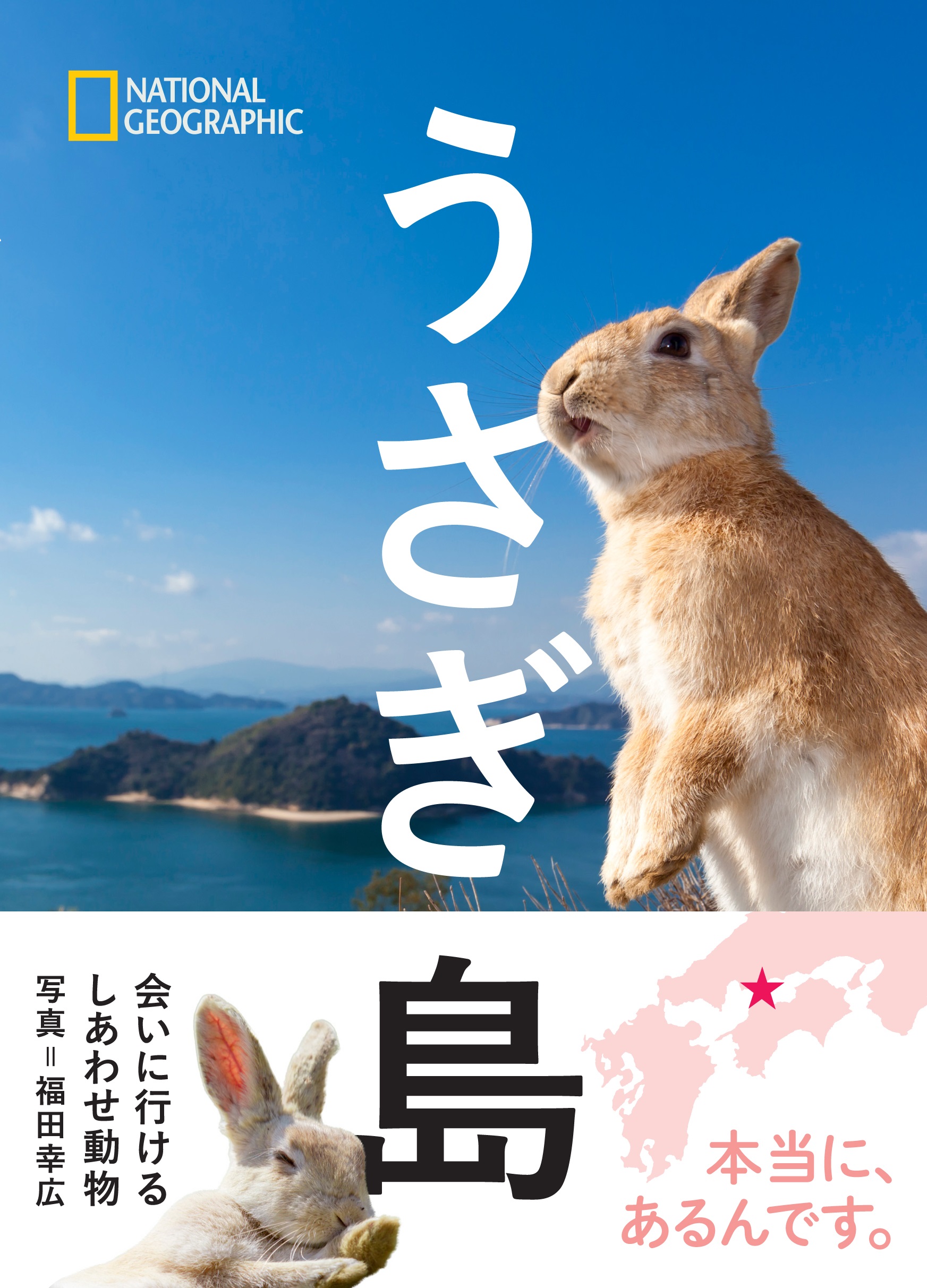 うさぎ島 日経の本 日経bp