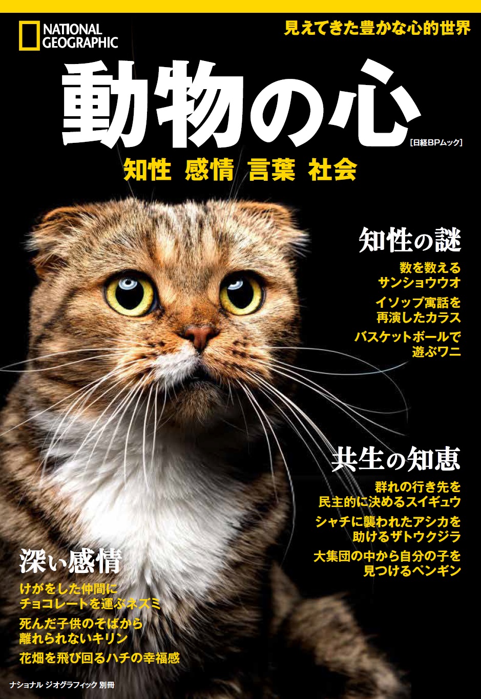 動物の心 日経の本 日経bp